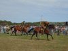 Cavalry practice.jpg Cavalry practice.jpg