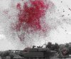 One million poppies.JPG One million poppies.JPG