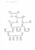Pemble family tree_c.jpg
