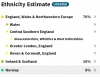 Ethnicity-20191026.png