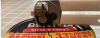 upload_2021-10-24_13-21-0.png